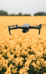 Drone flying over a field of yellow flowers